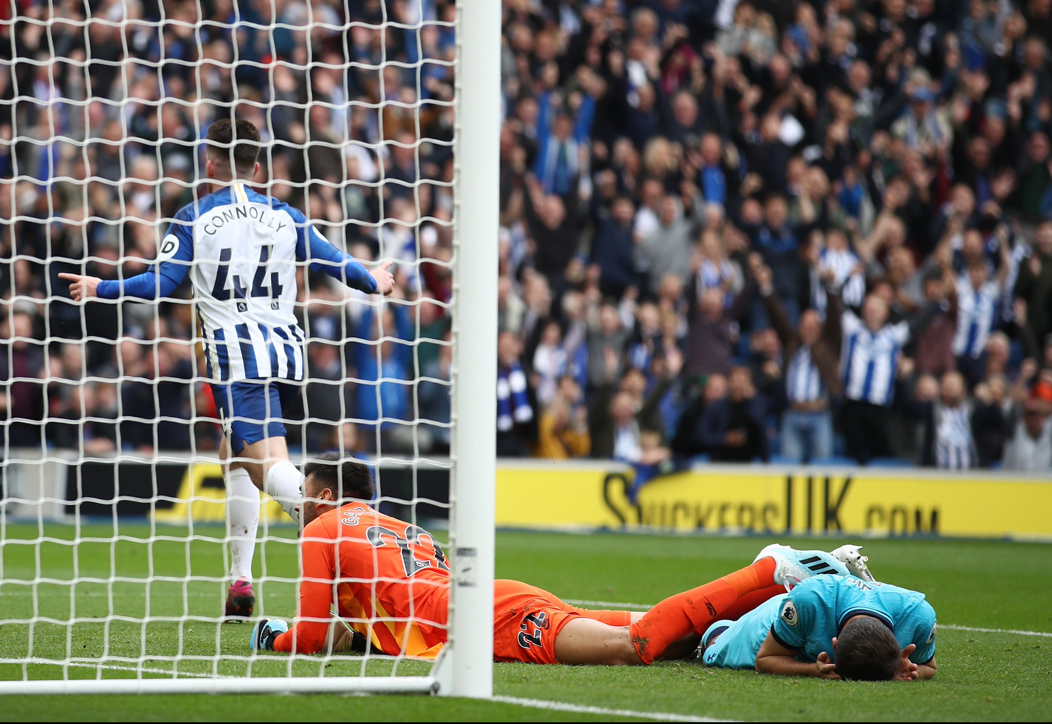 展现了卓越 展现了卓越